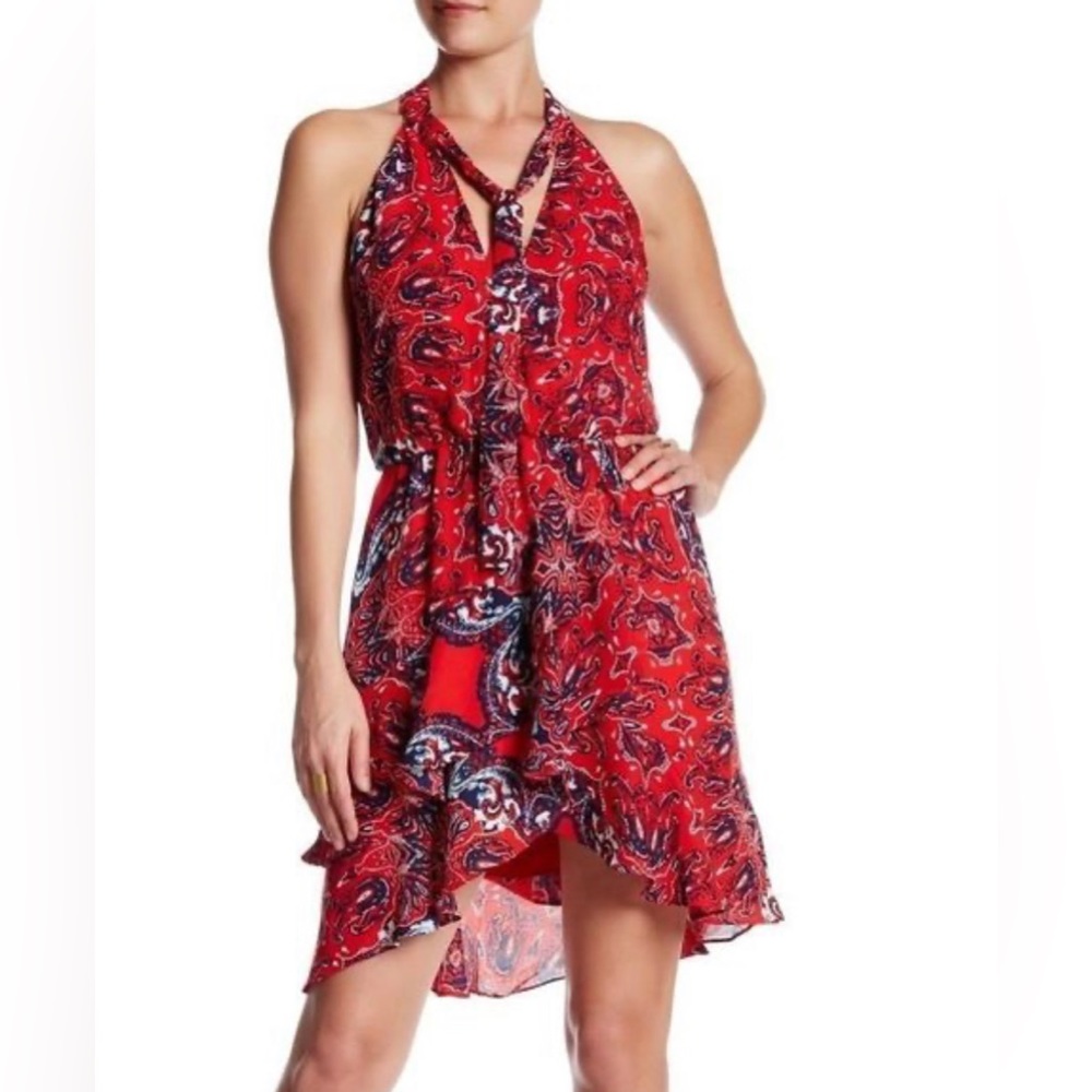 Red Parker Paisley day dress